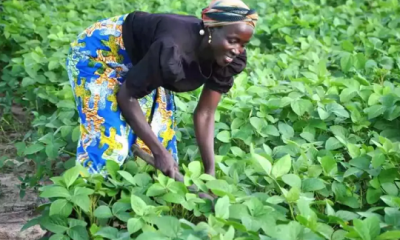 Uganda: OPEC Fund signs $30m Loan to enhance Productivity for Smallholder Farmers