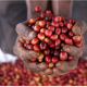 Co-op, Fairtrade producers 