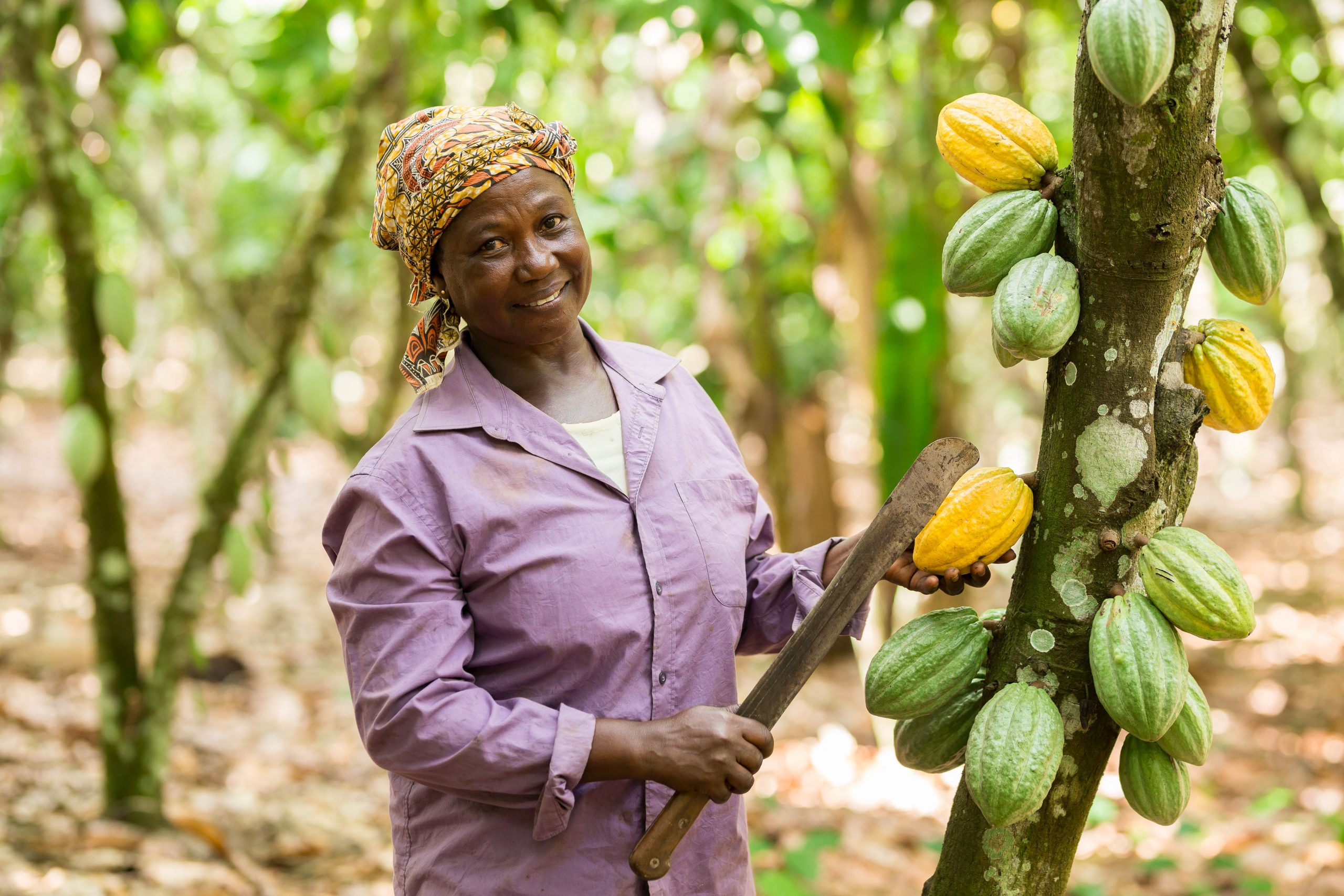 Asunafo North, Farmers Union, Small Producer Organisation of the Year Fairtrade International