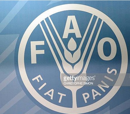 Agric, FAO