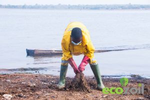 Clean-up, landing sites, Volta Lake