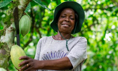Fairtrade, livelihoods, cocoa farmers