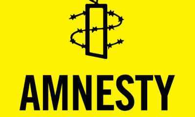 Amnesty International under fire