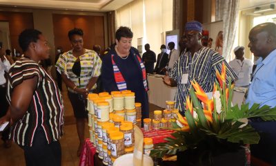 Ghana Agribusiness Investment Summit, USAID, MFA
