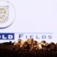 Gold Fields, AngloGold, joint-venture deal