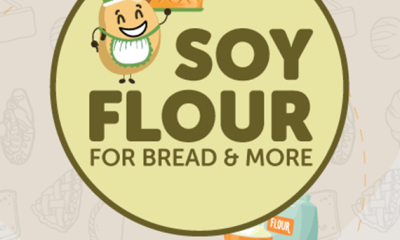 Soy, flour, bread, baking, ASA, WISHH