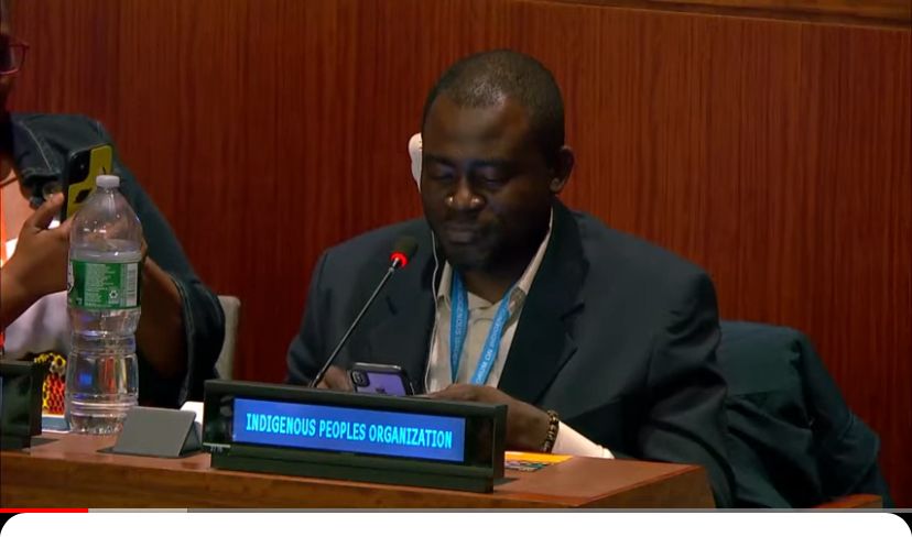 Ashanti Royal, Petition