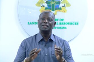 Achimota Forest, Cabinet