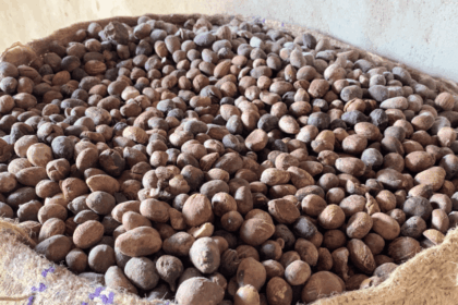 shea, 24-hour economy