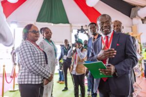 Kenya, Zoomlion, waste management, 