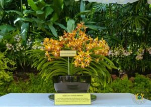 John Dramani Mahama, Singapore Botanic Gardens, 