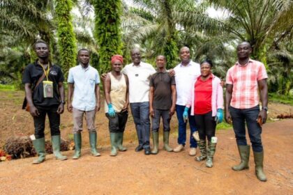 Benso Oil Palm Plantation