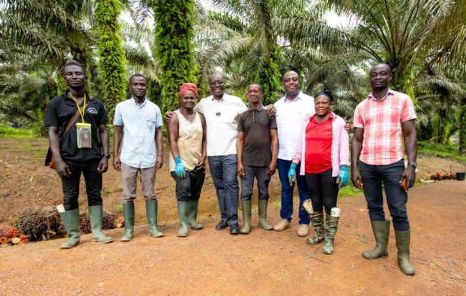 Benso Oil Palm Plantation