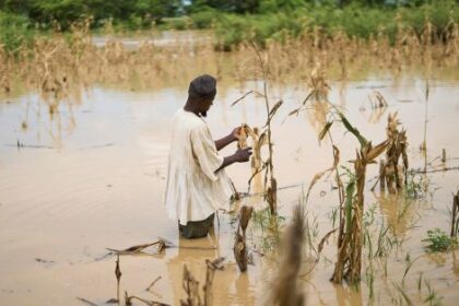 National Farmers’ Day, Galamsey,