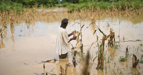 National Farmers’ Day, Galamsey,