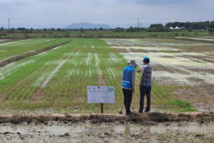 JICA and MoFA Move to Boost Self-sufficiency in Rice Production by Introducing Mechanisation Equipment