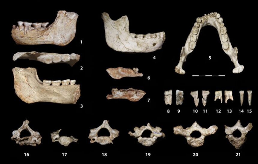 Human Fossils Unearthed in Casablanca Shed New Light on a Key Phase of Human Evolution