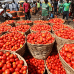 tomato shortage, Burkina Faso
