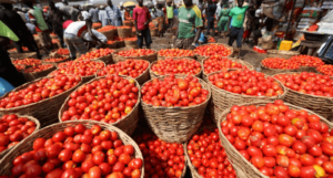 tomato shortage, Burkina Faso