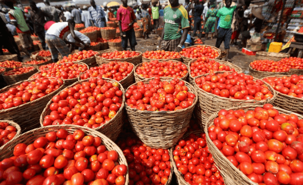 tomato shortage, Burkina Faso