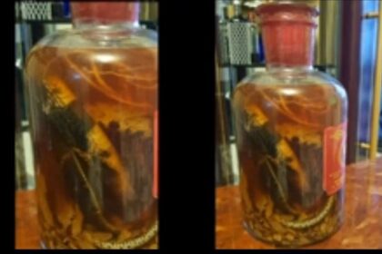 bitters
