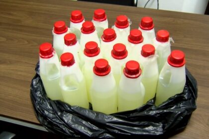 Sukudai, Ghana, Kidney