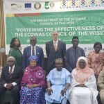 ECOWAS, Regional Security, Political Tensions, Council of the Wise