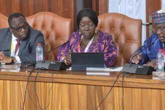 Tomato, Burkina Faso,