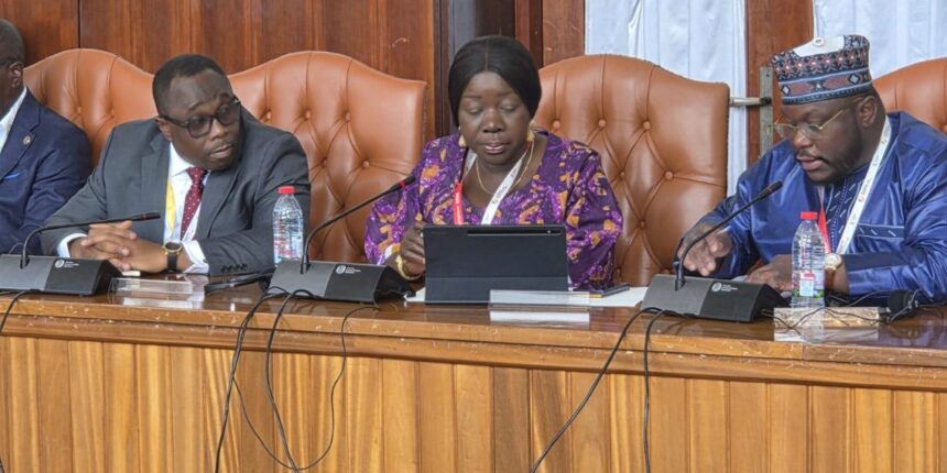 Tomato, Burkina Faso,