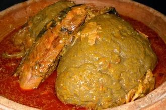 Kokonte, gastric, ulcer