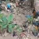 Baby, Dichemso-Hafia