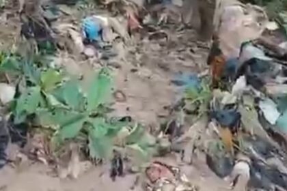 Baby, Dichemso-Hafia