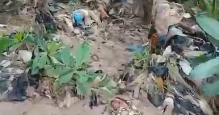 Baby, Dichemso-Hafia