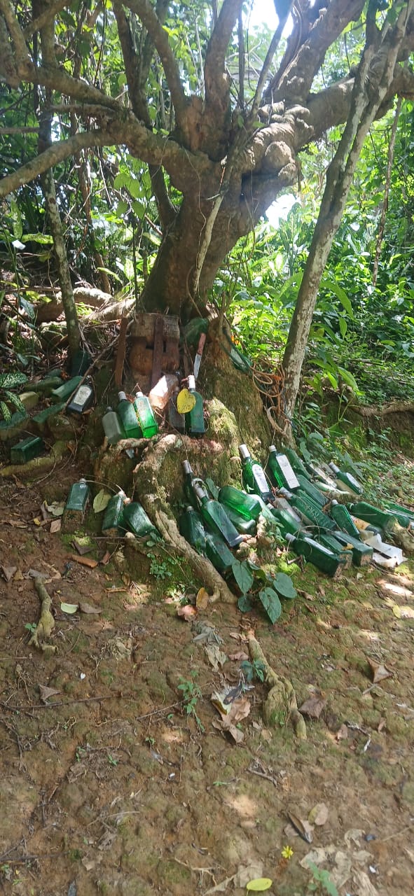 RoNAG, Atatem, Environment,