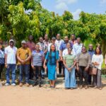 Blue Skies, Fruits, Import, Real Estate