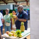 Blue Skies, Fruits, Import, Real Estate