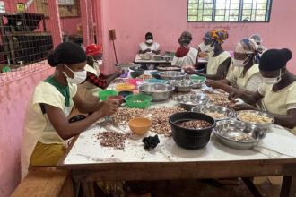 cashew processing