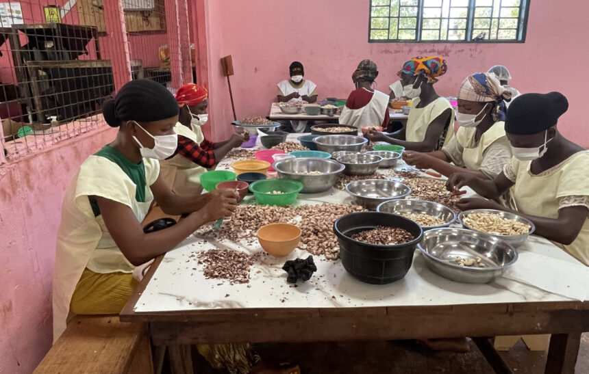 cashew processing