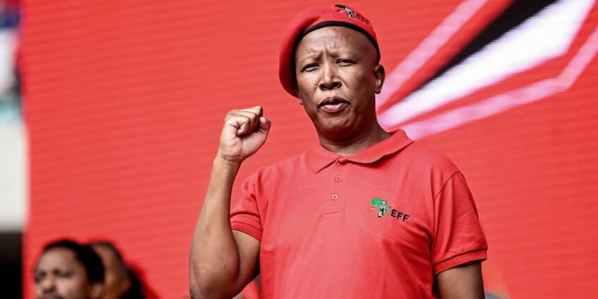 South African, Julius Malema