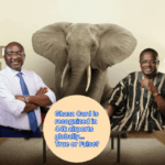 Ghana Card, International travel
