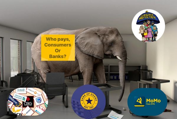 MobileMoney, Fee