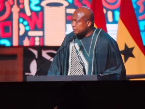 xenophobia, 3i Africa Summit, South Africa