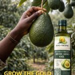 Avocado: Ghana’S Next €2 Billion Export Win