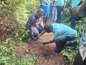 Prudential Bank, Achimota Forest, Tree for Life