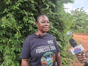 Prudential Bank, Achimota Forest, Tree for Life