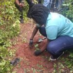 Prudential Bank, Achimota Forest, Tree for Life