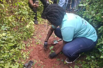 Prudential Bank, Achimota Forest, Tree for Life