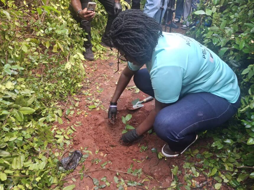 Prudential Bank, Achimota Forest, Tree for Life