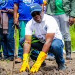 Stanbic Bank, Climate Action, Tree planting