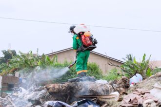 Disinfection, Accra flood, Zoomlion
